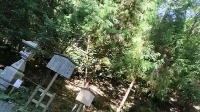 出雲大神宮(京都府)