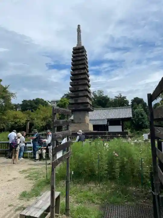 般若寺 ❁コスモス寺❁(奈良県)