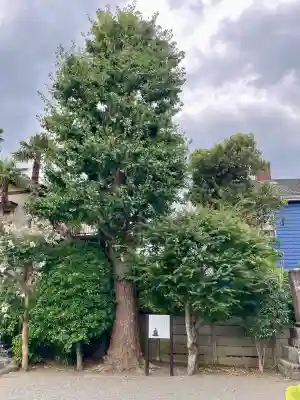 大運寺(神奈川県)