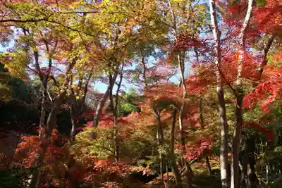 祇王寺(京都府)