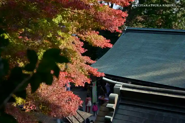 高尾山薬王院の景色