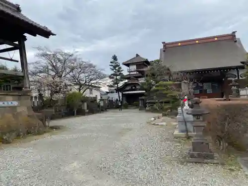 阿弥陀寺の庭園