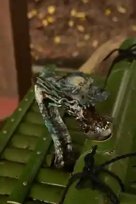 揖夜神社(島根県)