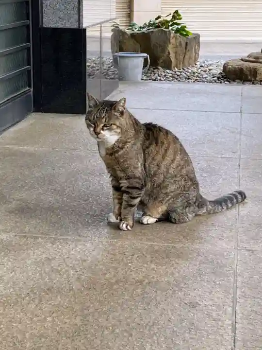 白金氷川神社(東京都)