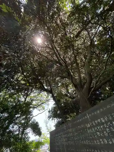検見川神社(千葉県)
