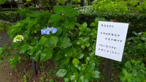 真正極楽寺（真如堂）(京都府)