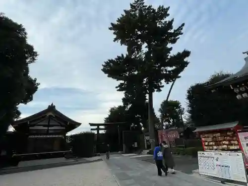 中野沼袋氷川神社(東京都)