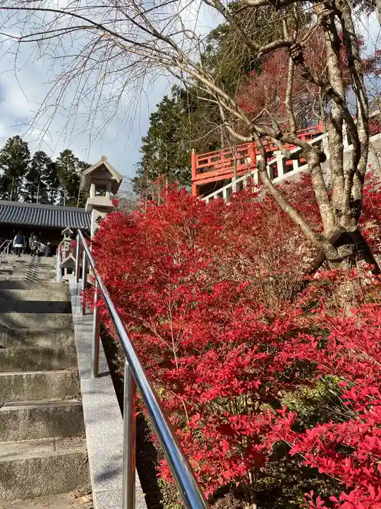 呑山観音寺の自然