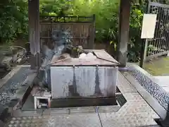 素盞雄神社の手水