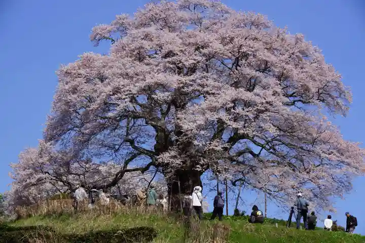 吉備津神社(岡山県)