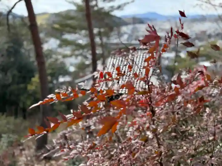 関善光寺(岐阜県)