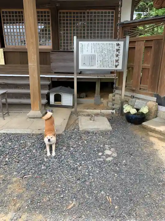 石上寺(三重県)