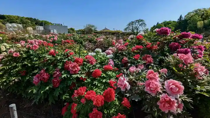 金蛇水神社(宮城県)