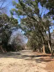 賀茂御祖神社（下鴨神社）(京都府)