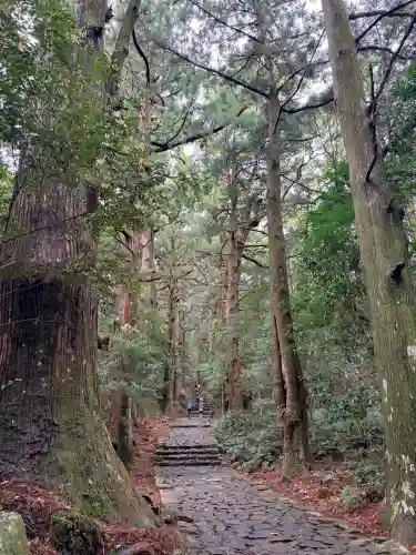 熊野那智大社の{uncategorized: "未分類", other: "その他", undefined: "問題あり", building: "その他建物", grave: "お墓", sacred_gate: "鳥居", guardian: "狛犬", statue: "像", buddha: "仏像", history: "歴史", nature: "自然", garden: "庭園", animal: "動物", pagoda: "塔", temizu: "手水舎", mountain_gate: "山門・神門", sanctuary: "本殿・本堂", subordinate: "末社・摂社", art: "芸術", scenery: "景色", jizo: "地蔵", ema: "絵馬", goshuin: "御朱印", omikuji: "おみくじ", items: "授与品その他", amulet: "お守り", goshuincho: "御朱印帳", eats: "食事", festival: "お祭り", votive_dance: "神楽", shichigosan: "七五三参", wedding: "結婚式", experience: "体験その他", initially: "初詣", around: "周辺", anti_infection: "感染症対策"}