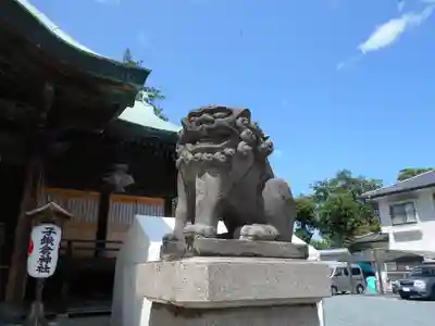 子鍬倉神社の狛犬