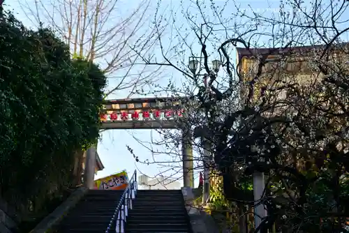 湯島天満宮(東京都)