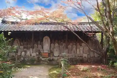 蓮華寺(洛北蓮華寺)の仏像