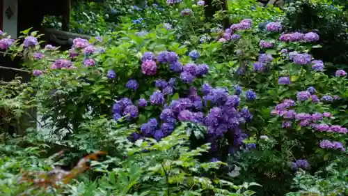 長谷寺(奈良県)