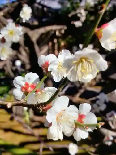 常性寺(東京都)