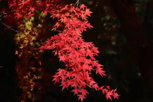 国宝 大法寺の自然