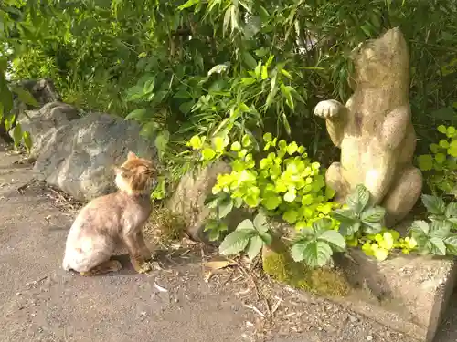 御誕生寺（猫寺）(福井県)