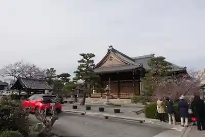 妙蓮寺の本殿・本堂