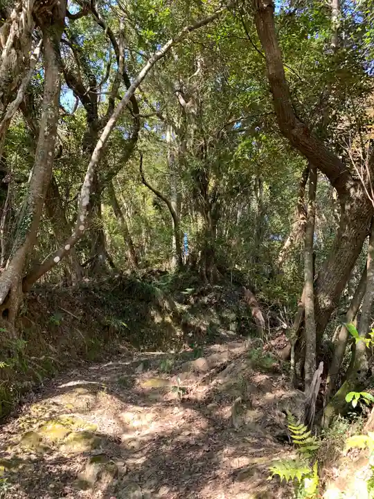 八坂神社の自然