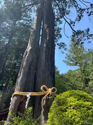 北口本宮冨士浅間神社(山梨県)