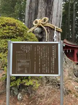 北口本宮冨士浅間神社(山梨県)