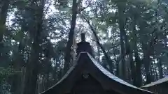 鹿島神社の建物その他