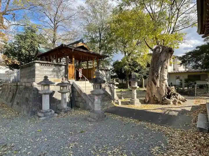 若宮八幡神社(滋賀県)