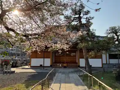 願生寺の本殿・本堂