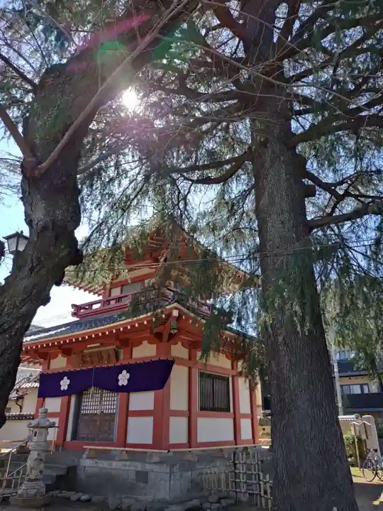 新井薬師(梅照院)(東京都)