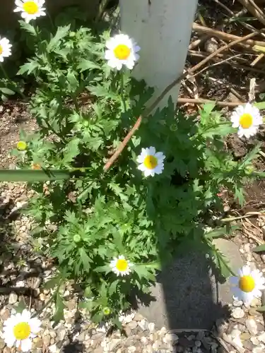 三輪神社の自然