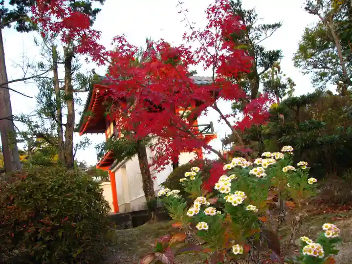萬年寺のその他建物