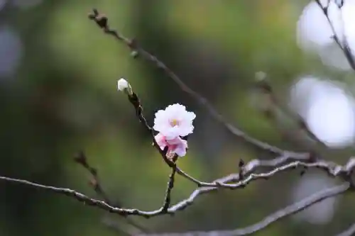 開成山大神宮の庭園