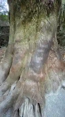 伊勢神宮内宮（皇大神宮）(三重県)