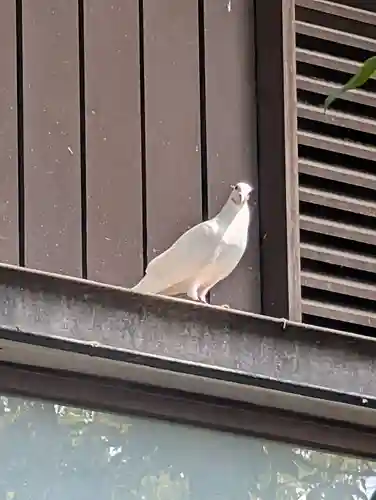 靖國神社(東京都)