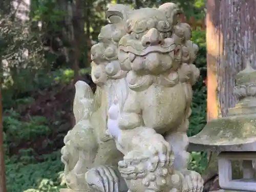 須山浅間神社の狛犬