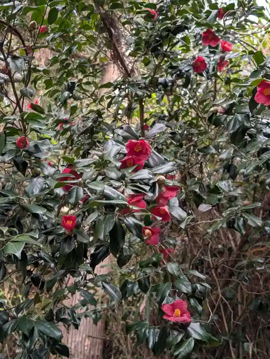 日枝神社(福島県)