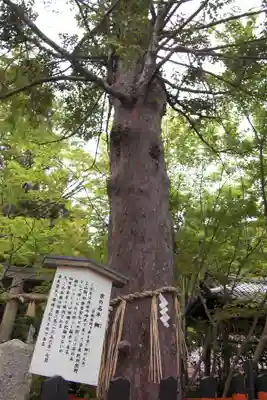 熊野若王子神社(京都府)