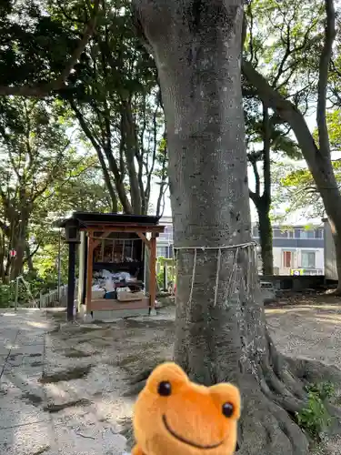 堀出神社(茨城県)