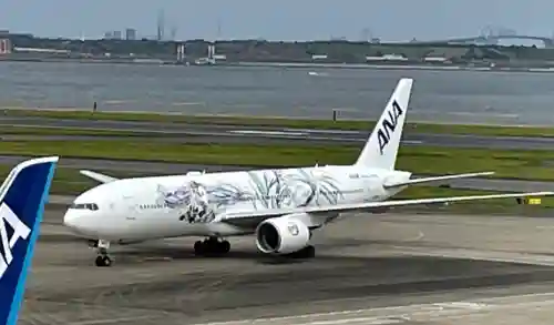 羽田航空神社の周辺