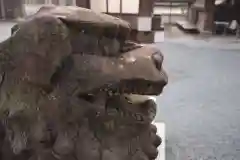 阿蘇神社の狛犬