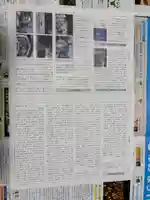 大阪護國神社(大阪府)