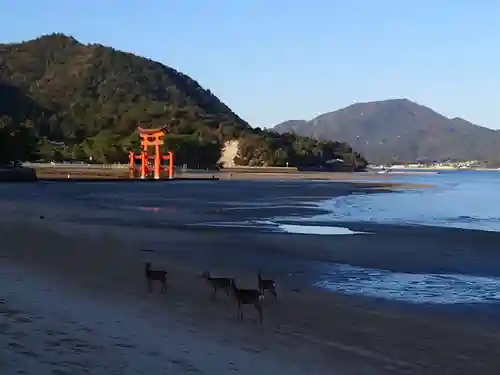 厳島神社の鳥居