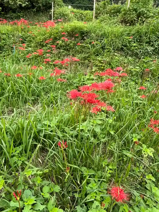 宝城坊(神奈川県)