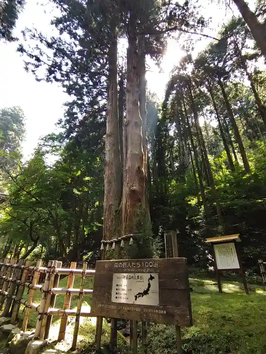 御岩神社の自然