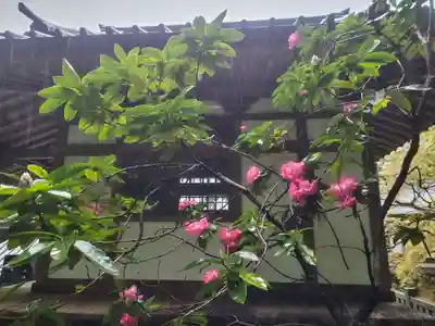 最乗寺（道了尊）(神奈川県)
